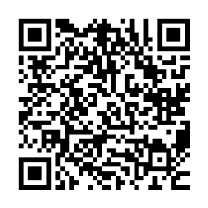 你就当着这些人的面把当年王云桐是如何害我的娘的事说出来二维码生成