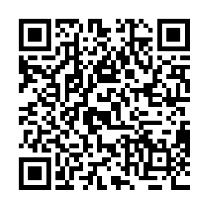 你就是嫌弃我不是你的家鬼……大不了我也进魂瓮好了二维码生成