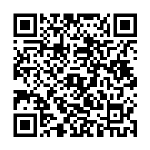 你就那么几句话竟然让东方世家的人做出这么大的反应二维码生成