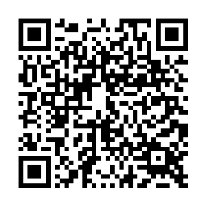 你居然去沟通它的核心脉络而不是趁机破坏它的巨大心脏二维码生成