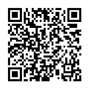 你居然还想让我派飞机送……送这小子去训练营二维码生成