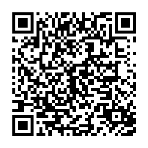 你已经将真正的军机安放在了这个不知道从哪里冒出来的红衣小子身上二维码生成
