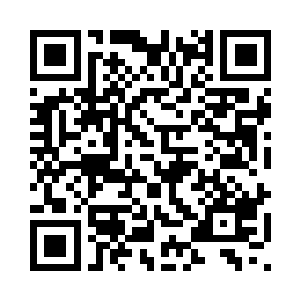 你希望我是纱笼还是希望我是郁桐二维码生成