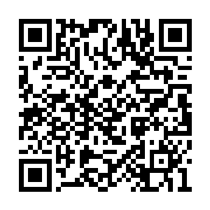你带了这么多天的保镖我要是不知道才是怪事呢二维码生成