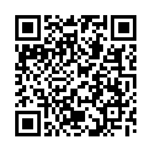 你带着比白痴还要笨的儿子来参加比赛二维码生成