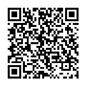 你应该为苍茫大陆上出现一个炼丹天才而激动好不好二维码生成