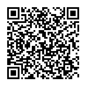 你张牙舞爪的样子可比你认命时候那个要死不活的模样可爱的太多二维码生成