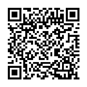 你当时和我们说的话给了我们很大的启发与灵感二维码生成