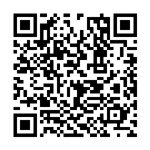 你很少能看见传奇以下的人类――因为他们都死了二维码生成