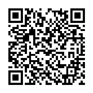 你忍心看到小阳这样将自己拉的尿生生送入嘴中吗二维码生成