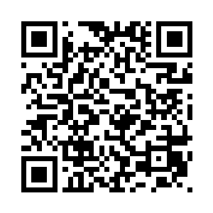 你怎么会和德约的大部队交上了火二维码生成