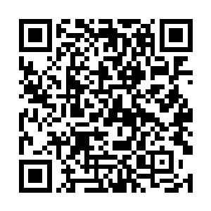 你恐怕不仅仅是要保住这些野人的宝贵生命这么简单二维码生成