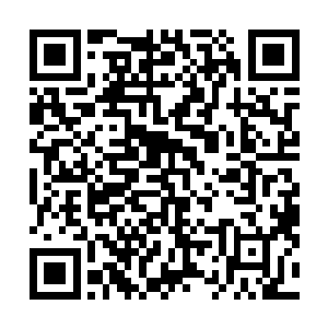 你手上的血玉石手链确实是夏天兄弟在古玩一条街淘到的二维码生成