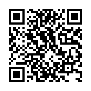 你打算单独请我还是请大家一起吃呢二维码生成