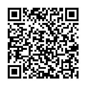 你把当初在巫族广场中收集的天地玄石全部用来布阵二维码生成