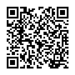 你抽了那个主任一耳光的事情都快传遍这家医院了二维码生成