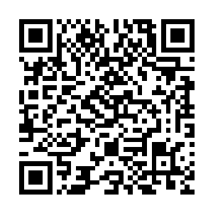 你拿下了铁围山战区最耀目的一笔封赏……太让人难以置信了二维码生成