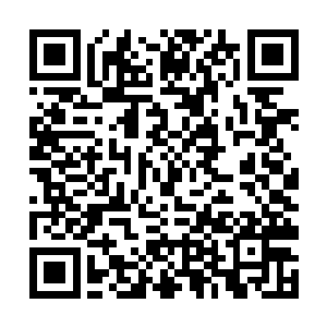 你方便告诉师父在光门之内选择的是领悟那个图标吗二维码生成