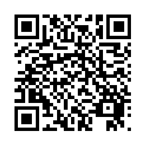 你是不是被你墨家的那个后辈打傻了二维码生成