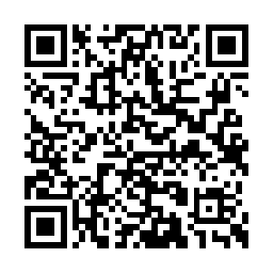 你是不是觉得这次我一定得靠你们那小空间搬运二维码生成