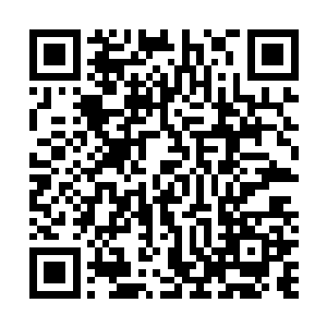 你是想让化仙者阵营和原仙者阵营的窥天者互相残杀是吧二维码生成