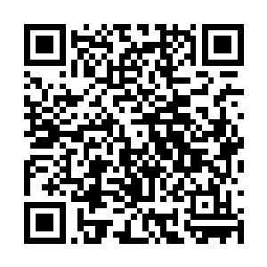 你是我四妹我不会让那个南诏公主欺到你头上去的二维码生成