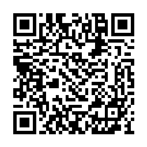 你是我家小姐的朋友那以后你就叫我秋竹就行了二维码生成