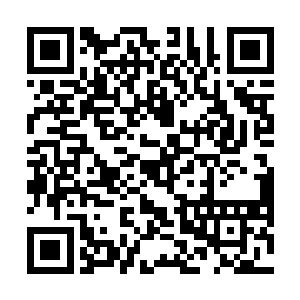 你是担心我一个人住在山里没人照顾才非要我去璃城的二维码生成