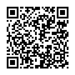 你是来寻觅一个叫做月儿的姑娘和一头破老虎的二维码生成