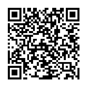 你是觉得这试炼之路有谁需要你找块风水宝地给下葬吗二维码生成