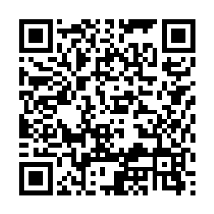 你是说他们有可能没有将自己最大的实力发挥出来吗二维码生成