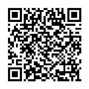 你父母跟弟弟他们才会惨死在东胡人的铁蹄之下二维码生成