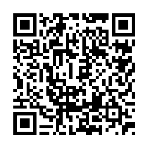 你爸爸和伯煊都被我养成喜甜不喜咸的口味儿了二维码生成