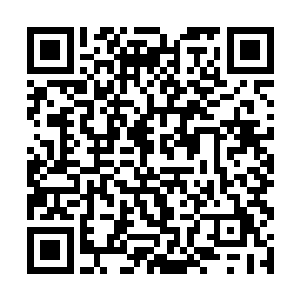 你猜那些拿不到工资的公务猿和老师会不会把你吃了二维码生成