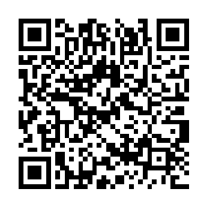 你现在应该很着急回家给你姥爷破吧……但是没用二维码生成