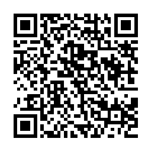 你现在所在的剧情世界便是那个被炮灰女配逆袭后的世界……二维码生成