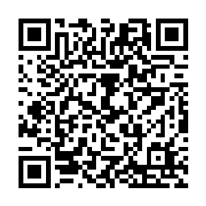 你现在要是把小雪书包里备用应急的衣服给她送过去二维码生成