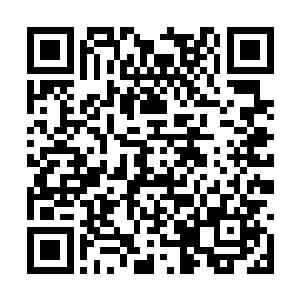 你现在还没当上百家的盟主就开始要杀我们的人了二维码生成