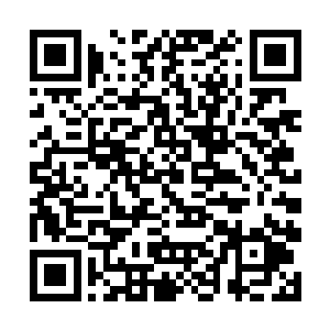 你的地下书库的那a17书架的那些宝贝我们就都公开了二维码生成