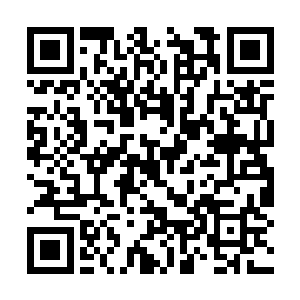 你的尸王血脉不仅仅能够让你拥有无限进价的可能二维码生成