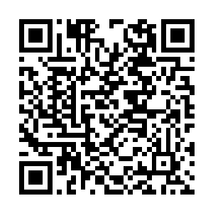 你的意思是小辰会赶在他们之前说的婚礼之前回来二维码生成