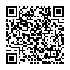 你的意思是要将首相乌拉和军队的司令佐藤平远都除掉二维码生成