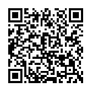 你的意思是让我将那头恐鳄引到投石机射程之内二维码生成