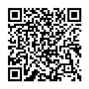 你的武功在外面行走也没有什么人能欺负得了你二维码生成