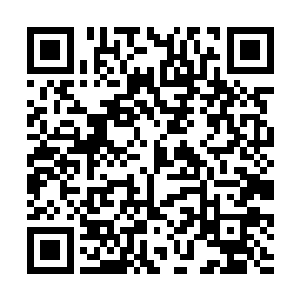 你的那十枚背叛者在我的眼里跟烟花爆竹没什么区别二维码生成