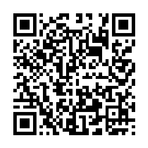 你看……林道友和那位紫霞仙子要去采摘还魂草了二维码生成