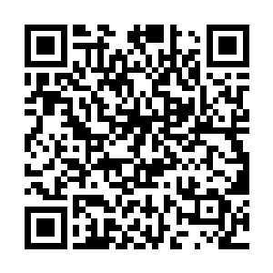 你看我老路是那种没有原则底线故意帮人说话的人吗二维码生成