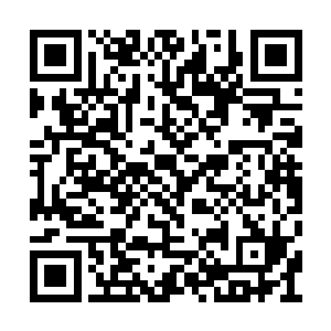 你看看什么时候能帮我家里其他的人也治疗一下二维码生成