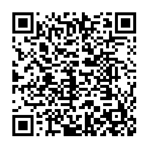 你真的以为妹妹我一个女子会把偌大的海马族给打理的如此井井有条么二维码生成