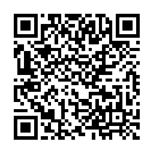 你知不知道你能不能进hk投资公司完全是我一句话二维码生成